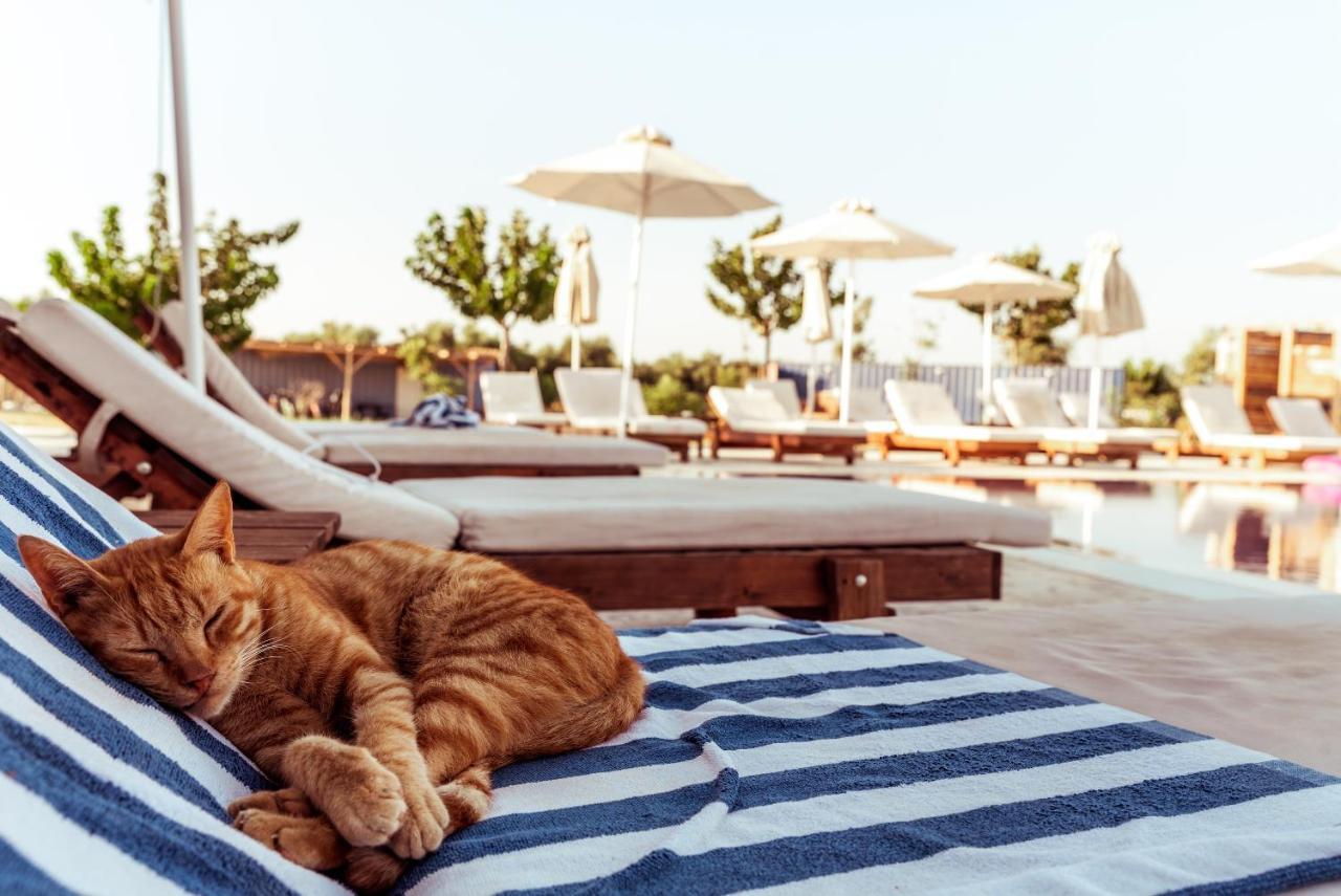 Sails On Kos Ecolux Tented Village Μαρμάρι Εξωτερικό φωτογραφία